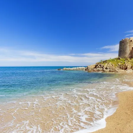 Le Palme * 바리사르도