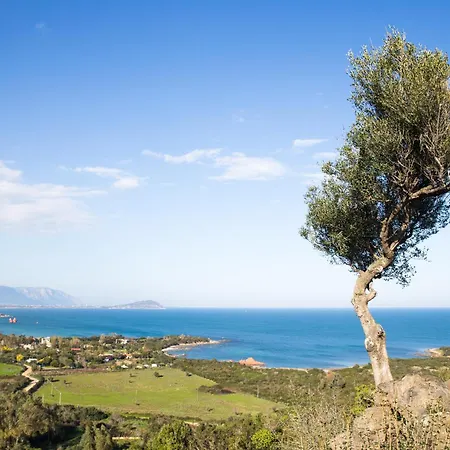 Le Palme