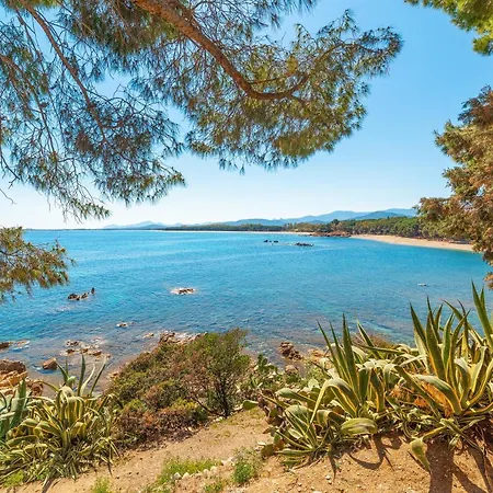 Apartament Le Palme *